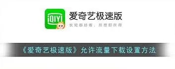 《爱奇艺极速版》如何允许流量下载