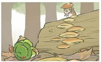 旅行青蛙树林中找栗子明信片全攻略