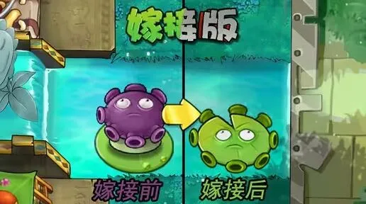 《植物大战僵尸》忧郁菇荷叶使用心得