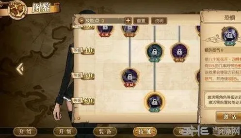航海王燃烧意志罗宾技能全解