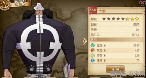 航海王大熊宝石搭配完全指南