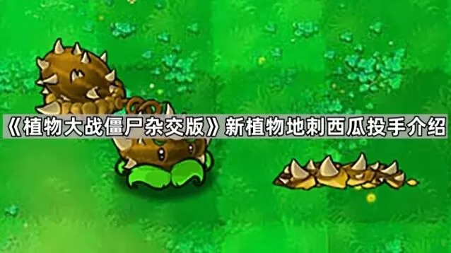 植物大战僵尸杂交版：地刺西瓜投手玩法分享