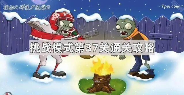 植物大战僵尸杂交版第37关挑战模式完整攻略