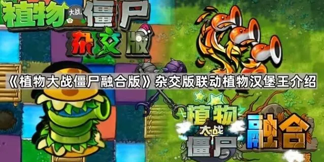 《植物大战僵尸》：杂交版联动植物汉堡王攻略