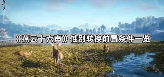 燕云十六声性别转换功能操作流程