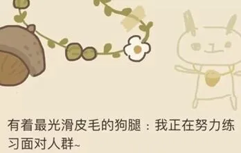 《动物餐厅》黑白君来信2玩法攻略