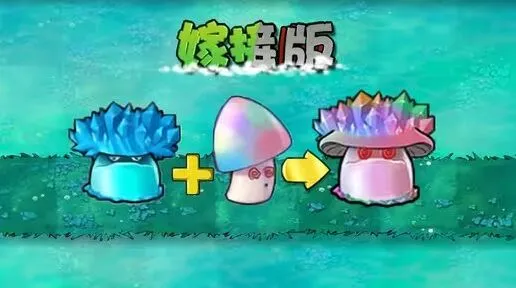 植物大战僵尸魅惑寒冰菇全面详解