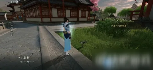 《遇见》洞中之人奇遇任务全流程指南