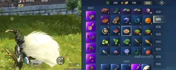 妄想山海长生果油获得教程详解
