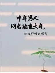 男生成熟稳重有内涵的微信昵称分享
