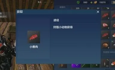 妄想山海小兽肉作用解析