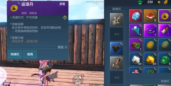 妄想山海洪钧炉在哪 教你找返璞丹炉