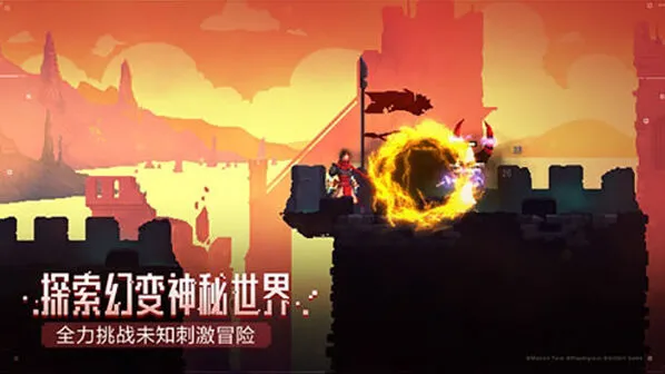 《庇护所》二细胞怎么打 打法分享