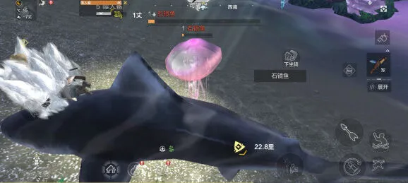 妄想山海石镜鱼蛋孵化方法指南
