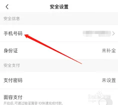 爱奇艺极速版手机号更换全解