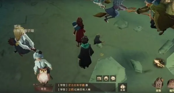 《哈利波特》处置危险生物委员会任务攻略