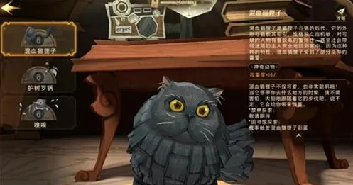 哈利波特魔法觉醒混血猫狸子获取流程