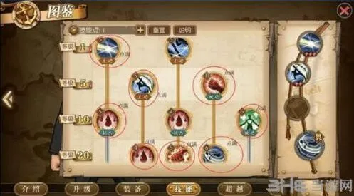 航海王卡古变身前后期加点技巧