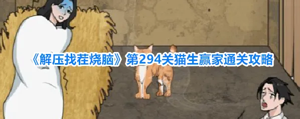 《解压找茬烧脑》第294关猫生赢家通关攻略