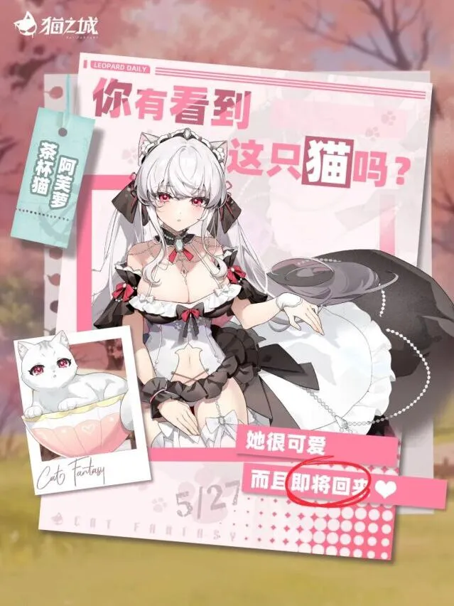 《猫之城》阿芙萝活动技巧攻略