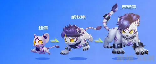 QQ飞车虎力大仙培养优先级建议