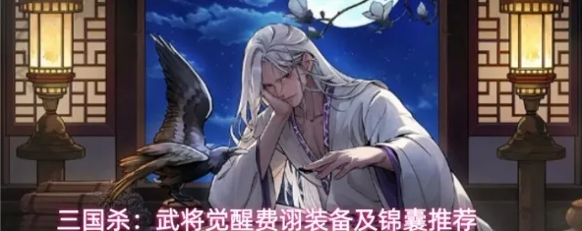 三国杀：武将觉醒费诩装备及锦囊推荐