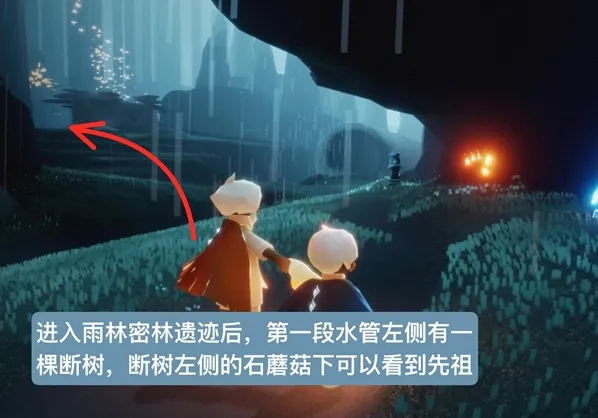 光遇雨林磕头先祖地点详解