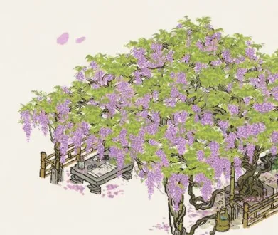江南百景图紫藤花获得方法及用途