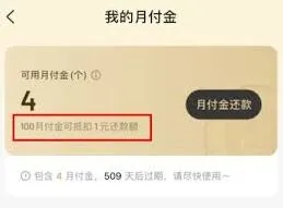 抖音月付