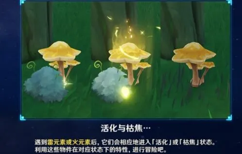 原神指南：枯萎的星蕈获取