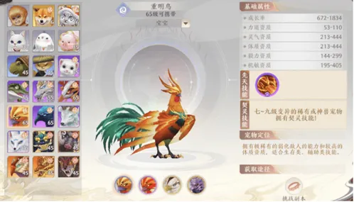 天龙八部2宠物推荐玩法