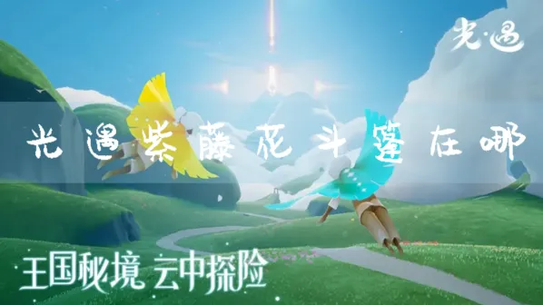 光遇紫藤花斗篷在哪获得详解