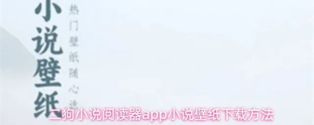 二狗小说阅读器红色