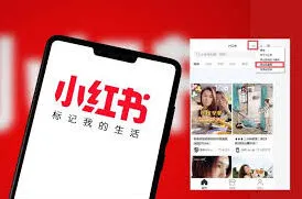 小红书PC端网页登录详细教程