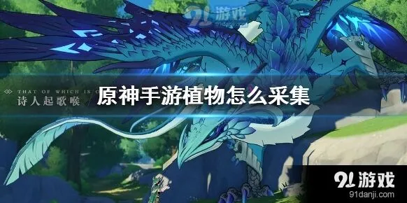 原神植物采集方法教程