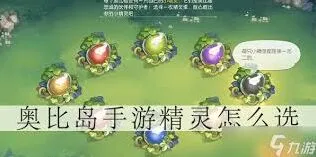 奥比岛精灵蛋孵化与宠物养成指南