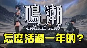 鸣潮悲鸣行动第七关过关攻略