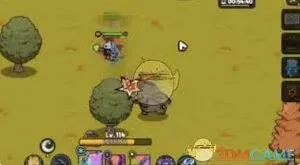 英勇之地狂猪族长刷新时间指南