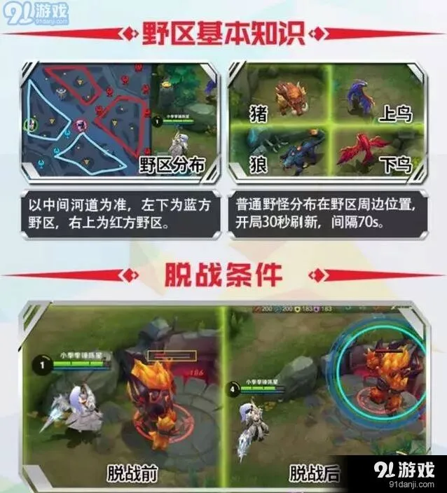 王者荣耀野区攻略 猪和鸟金币收益对比