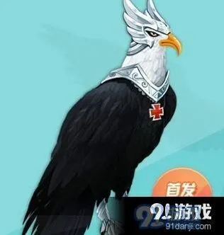 QQ飞车手游苍冥神鸢实战技巧详解