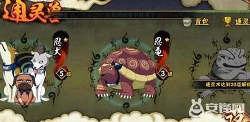 《火影忍者》通灵兽升星怎么升指南