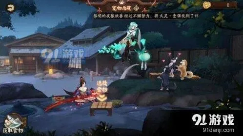 阴阳师庭院宠物攻略 猫粮狗粮获取技巧