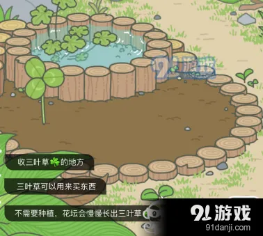 旅行青蛙三叶草快速收割方法