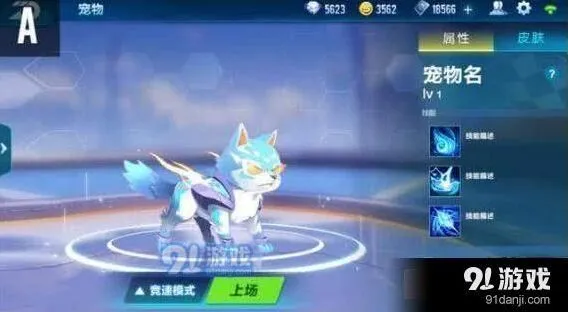 QQ飞车手游宠物作用与选择技巧