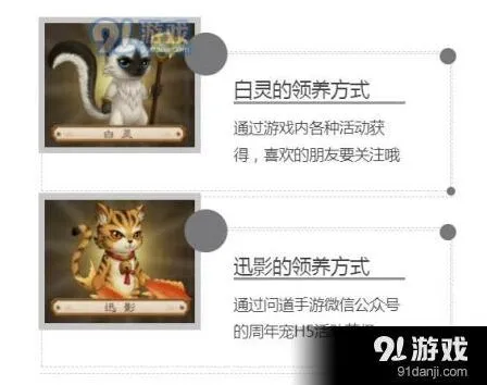 问道周年宠获取方法与流程攻略