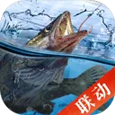 天天钓鱼手游2026-天天钓鱼官方最新版Android1.9