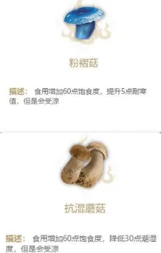 妄想山海采蘑菇任务完整攻略