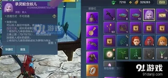 妄想山海小灵儿养成教程详解