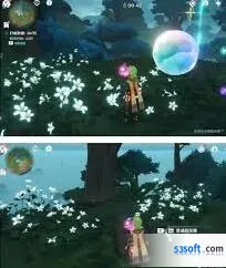 水天丛林解密技巧原神指南