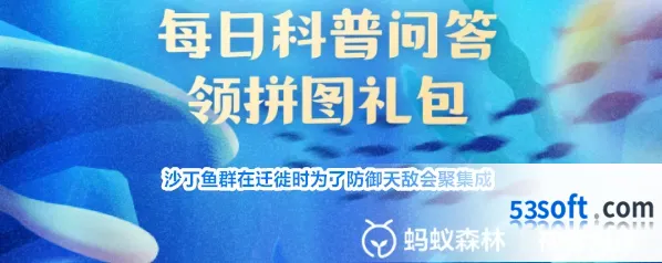 沙丁鱼群在迁徙时为了防御天敌会聚集成
